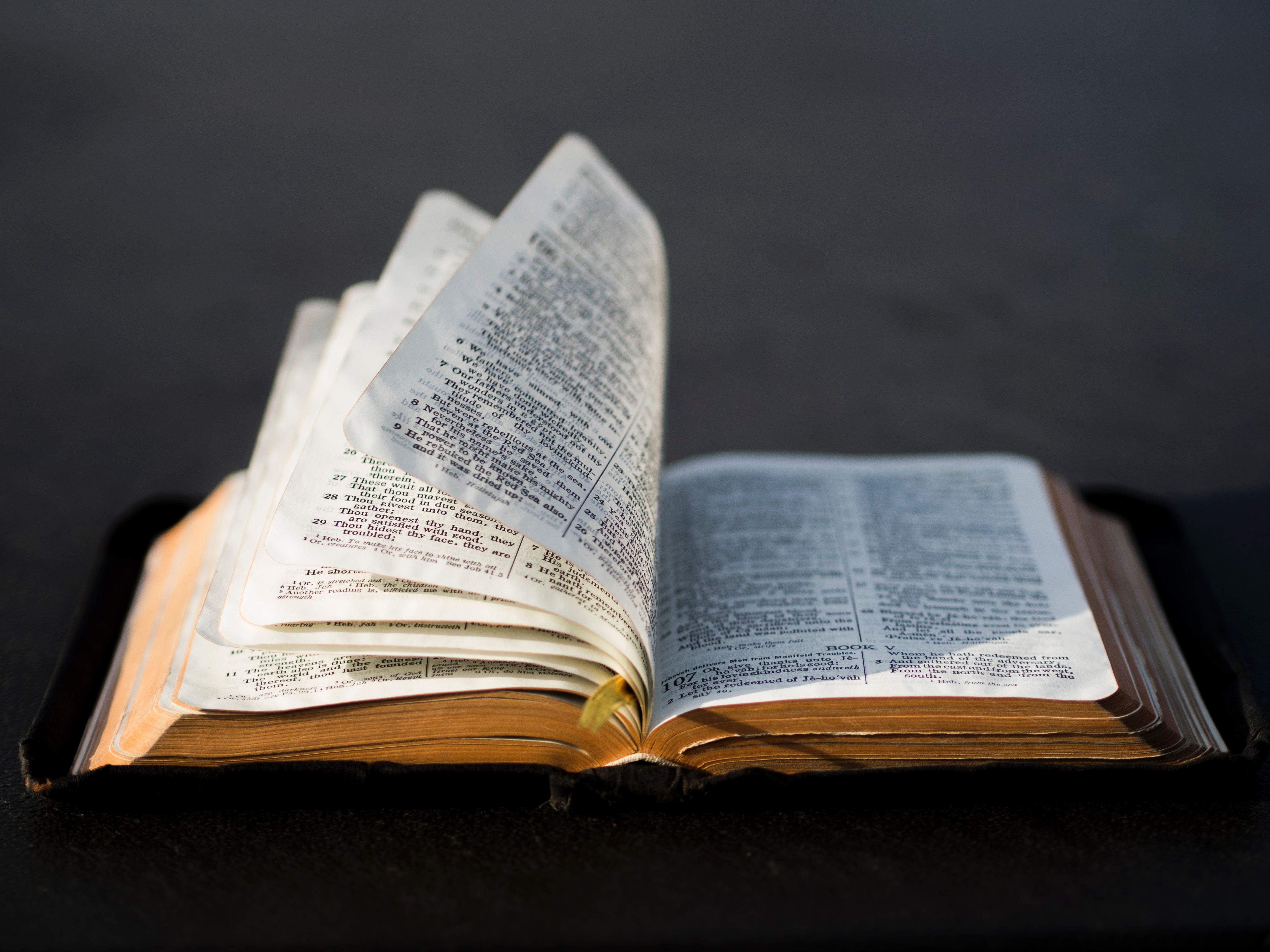 How to Read the Bible